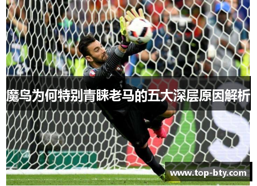 魔鸟为何特别青睐老马的五大深层原因解析